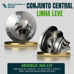 CONJUNTO CENTRAL 300-113