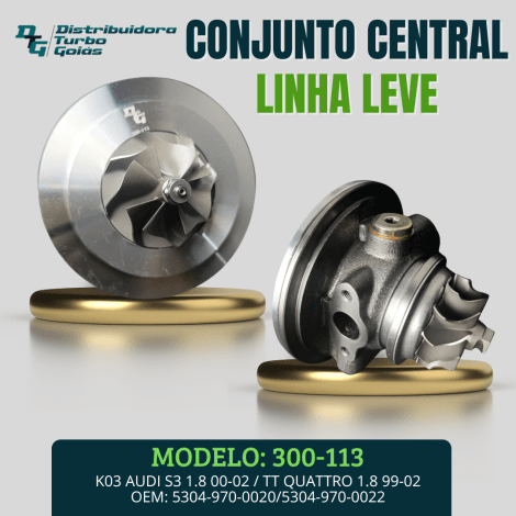 CONJUNTO CENTRAL 300-113